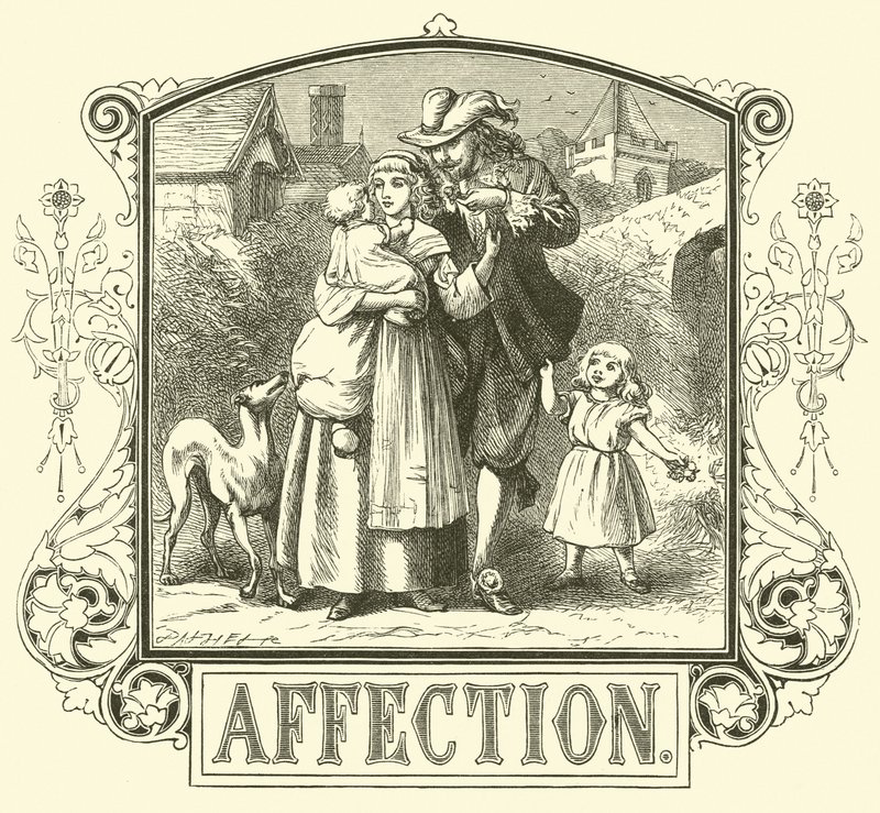 Affection - English School
