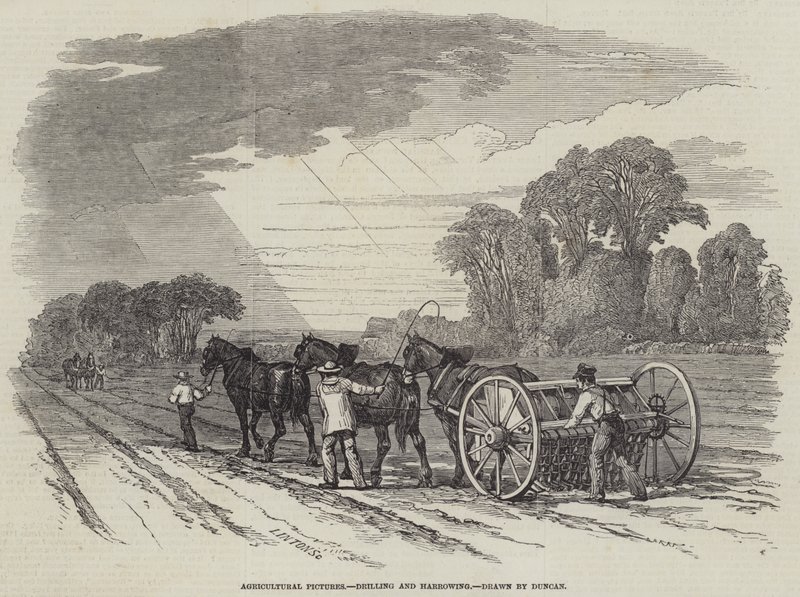 Images agricoles, semis et hersage (gravure) - English School