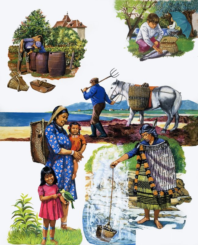 Toutes sortes de paniers - English School
