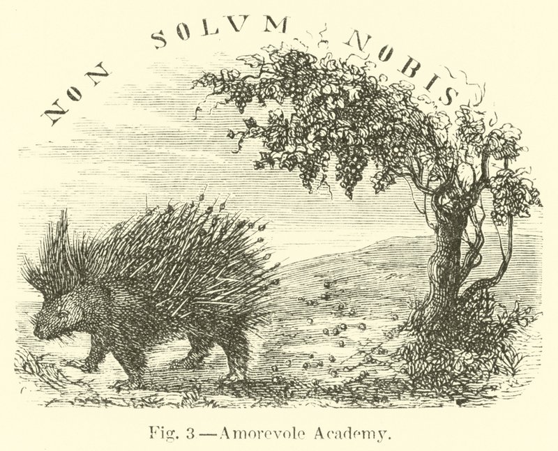 Académie Amorevole - English School