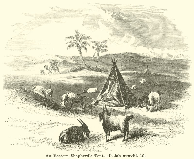 Tente de berger oriental, Isaïe, xxxviii, 12 - English School