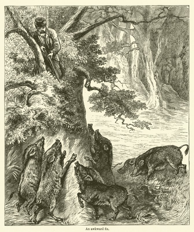 Une situation délicate (gravure) - English School