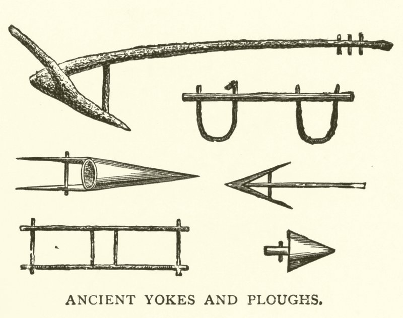 Anciennes jougs et charrues - English School