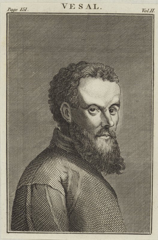 Andreas Vesalius - English School