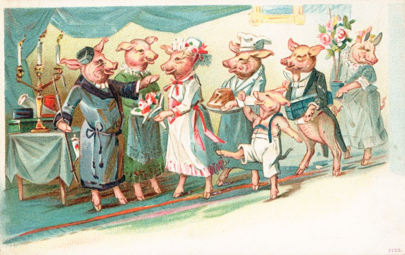 Cochons anthropomorphes accueillis à leur arrivée à une fête - English School