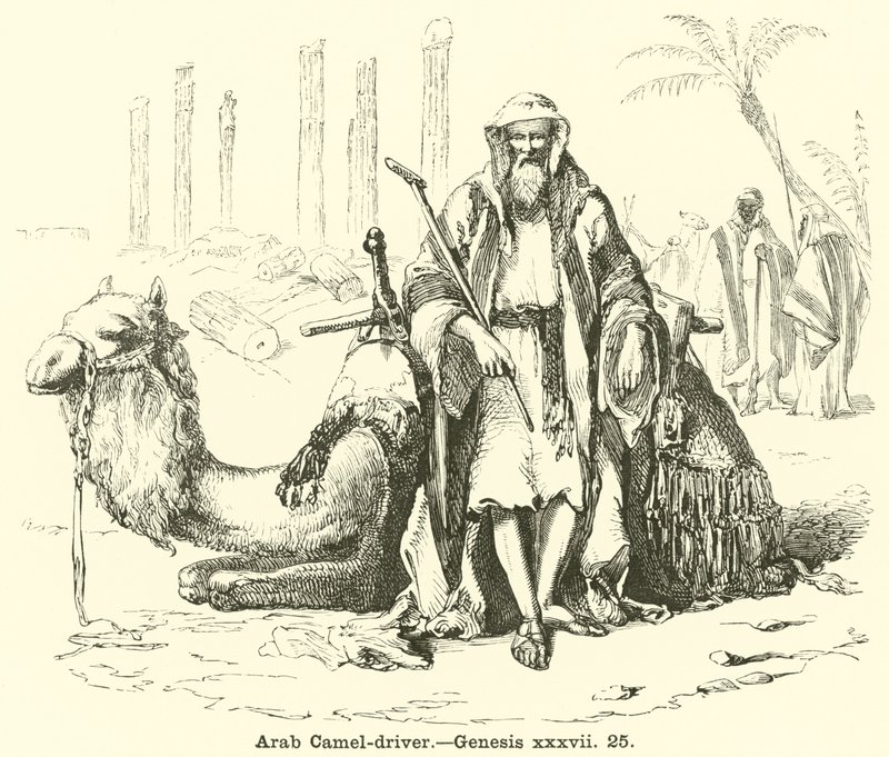 Conducteur de chameaux arabe, Genèse, xxxvii, 25 - English School