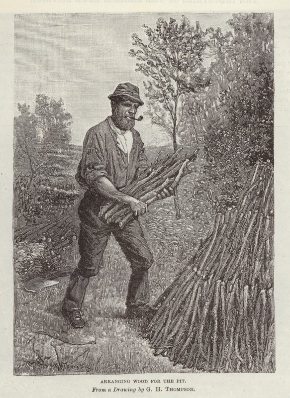 Disposition du bois pour la fosse - English School