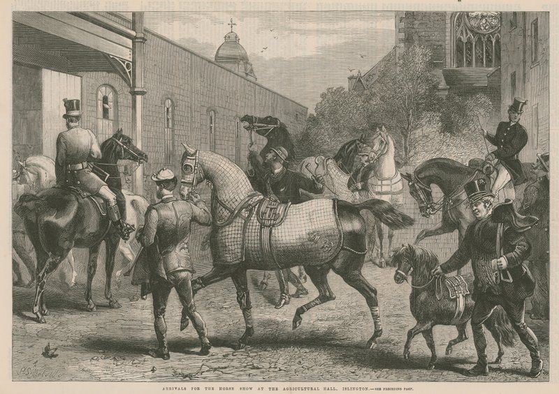 Arrivées pour le salon du cheval au Hall agricole - English School