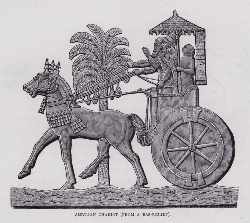 Char assyrien - English School
