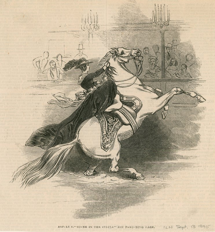 Amphithéâtre d