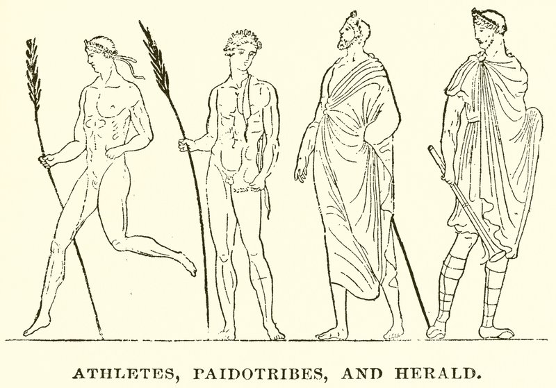 Athlètes, Paidotribes et Héraut - English School
