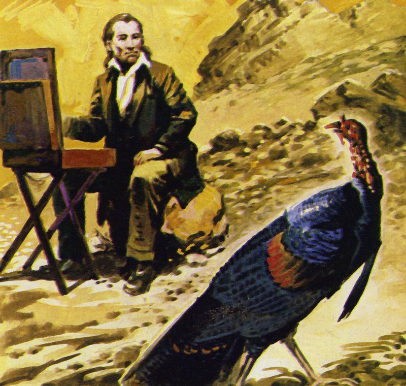 Audubon a consacré sa vie à peindre les oiseaux d