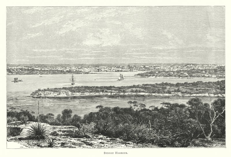 Australie : port de Sydney (gravure) - English School