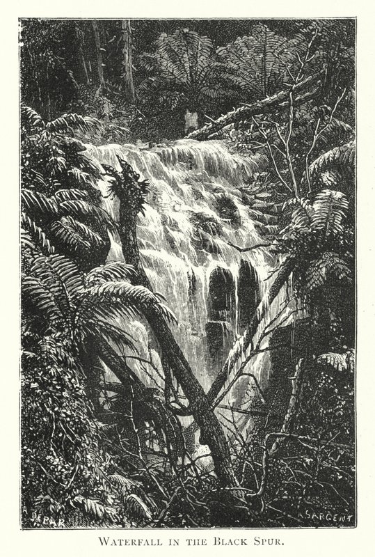 Australie : cascade dans le Black Spur (gravure) - English School