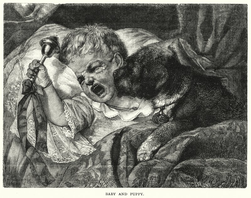 Bébé et chiot (gravure) - English School