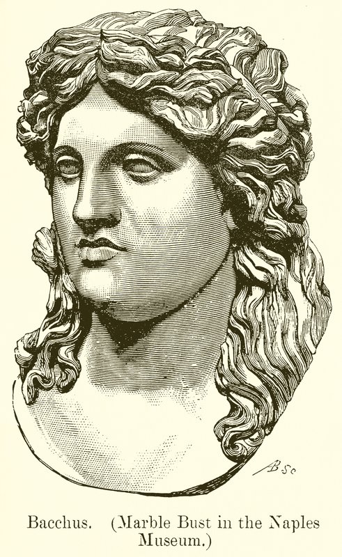 Bacchus. (Buste en marbre du musée de Naples) (gravure) - English School
