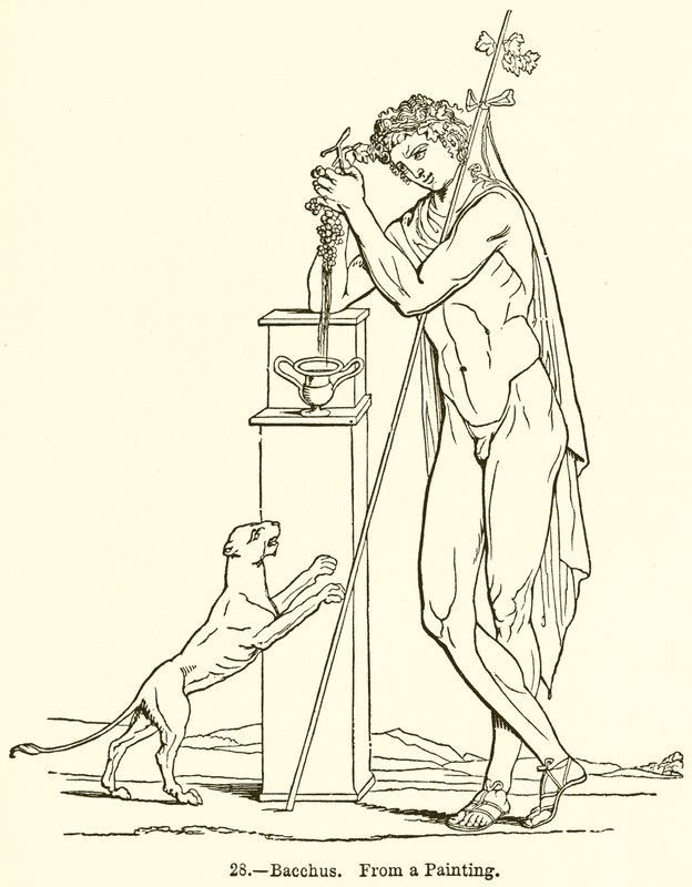Bacchus - English School