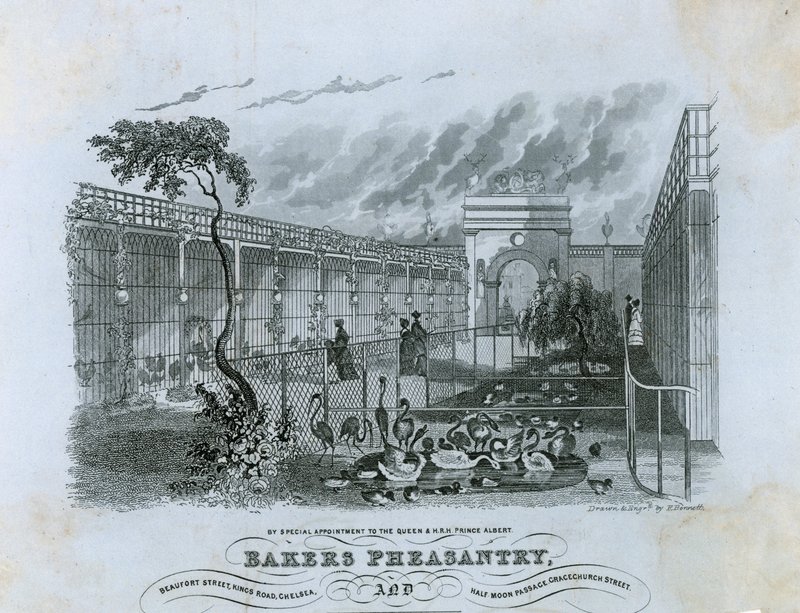 Bakers Pheasantry, Chelsea - English School