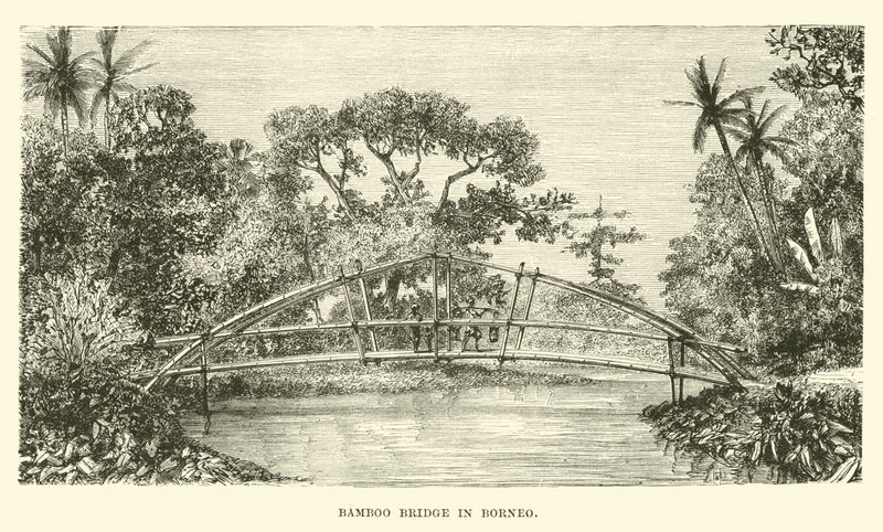 Pont en bambou à Bornéo - English School