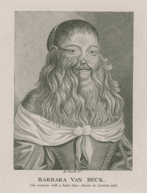 Barbara Van Beck, la femme au visage poilu, montrée à Londres, 1668 - English School