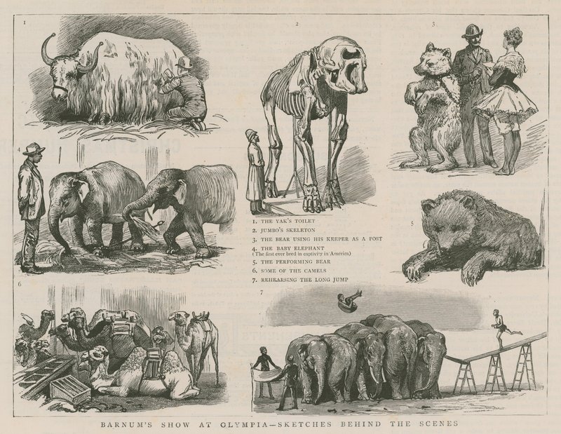 Spectacle de Barnum à Olympia - croquis dans les coulisses - English School