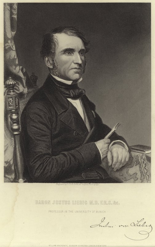 Baron Justus Liebig - English School