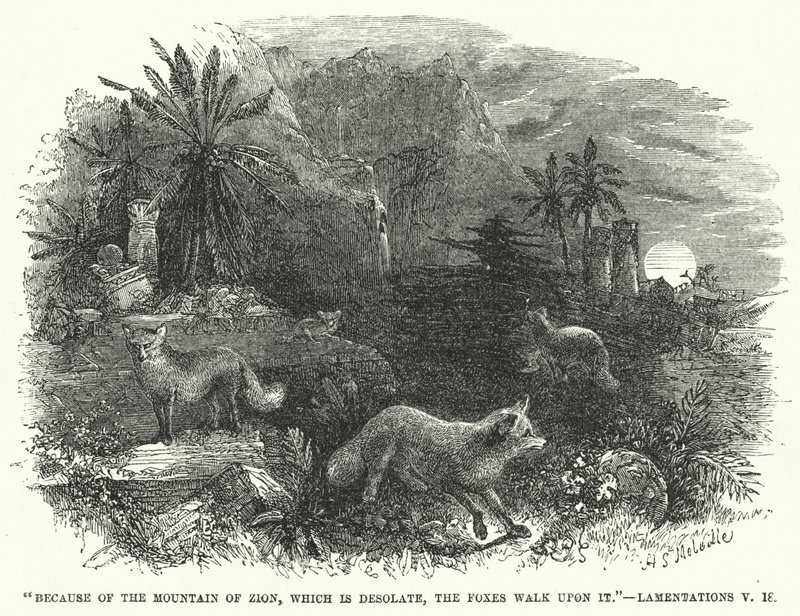 À cause de la montagne de Sion, qui est désolée, les renards y marchent, Lamentations V - English School