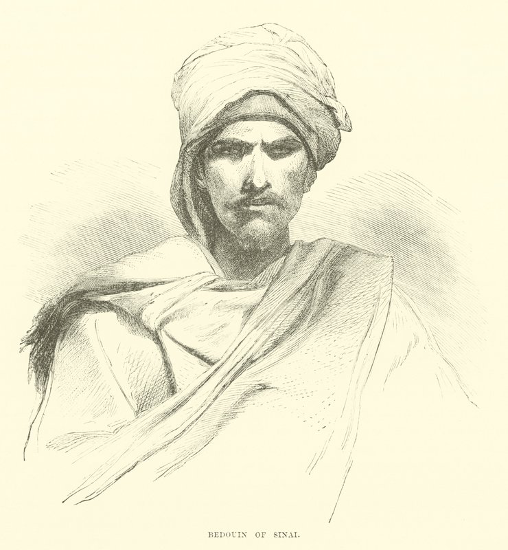 Bédouin du Sinaï - English School