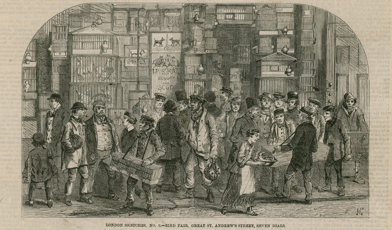 Foire aux oiseaux, Great St Andrews Street, Seven Dials, Londres - English School