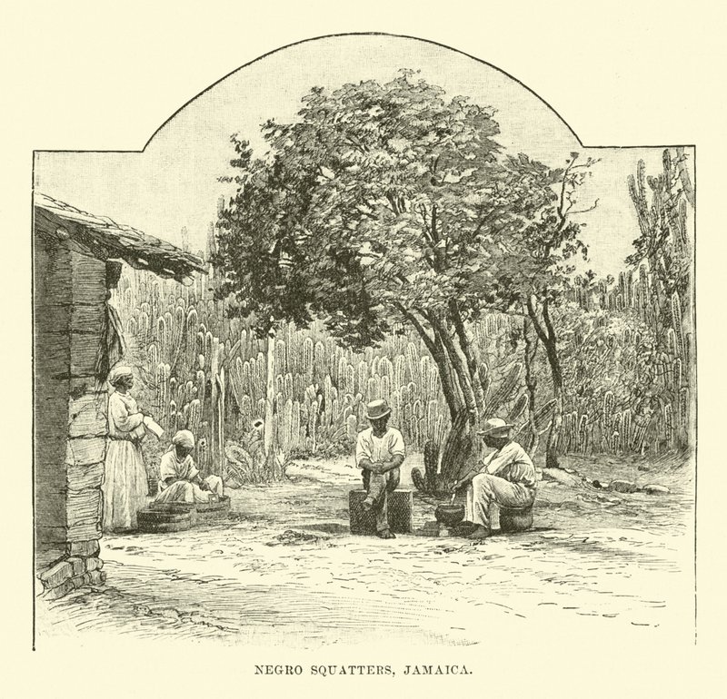 Squatters noirs, Jamaïque - English School