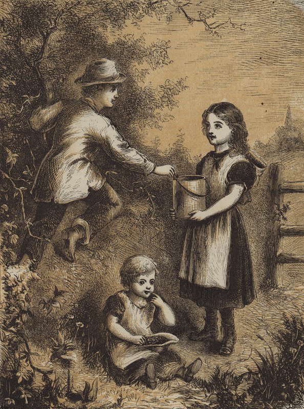 Cueillir des Mûres - English School