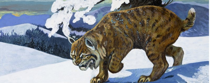 Lynx roux - English School