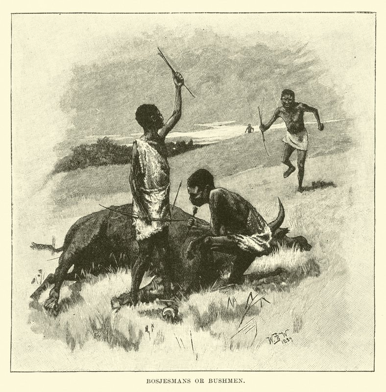 Bosjesmans ou Bushmen - English School