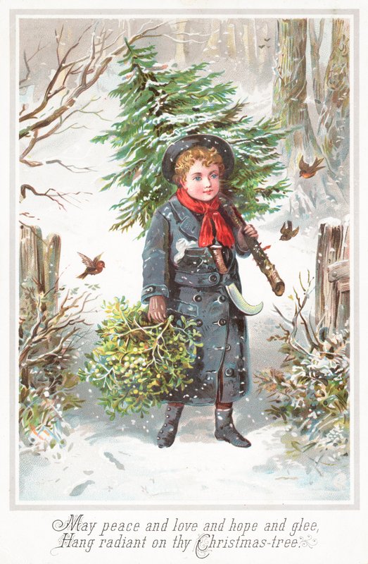 Garçon portant un sapin de Noël sur l