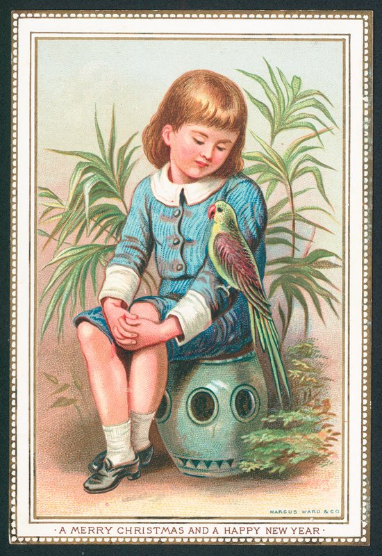 Garçon assis avec un oiseau exotique sur le bras - English School