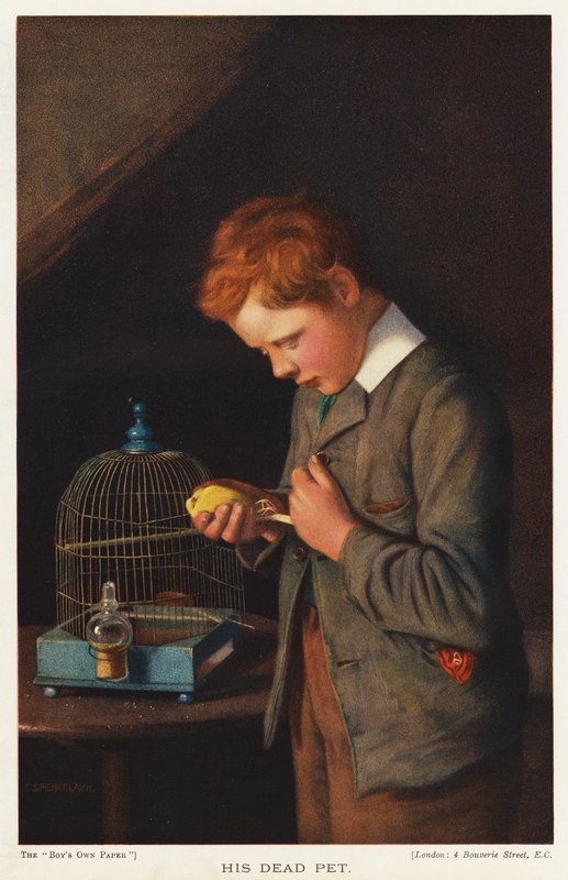 Garçon avec son canari mort - English School
