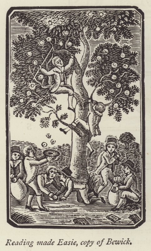 Garçons cueillant des pommes - English School
