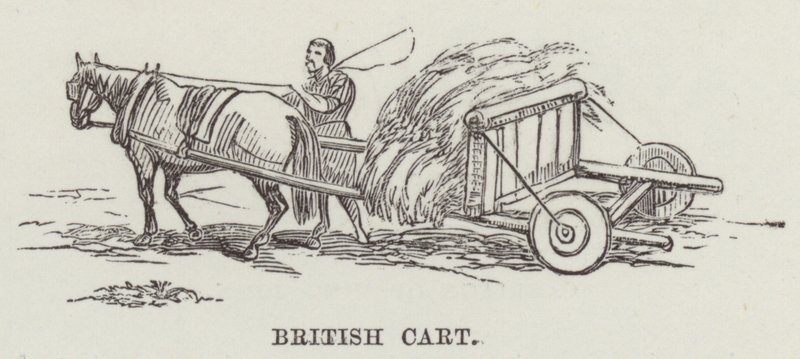 Chariot britannique (gravure) - English School
