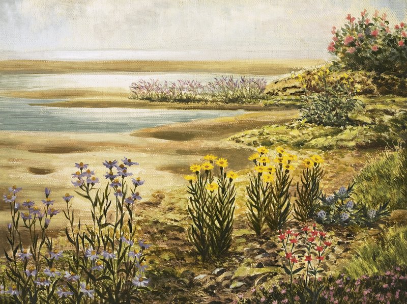 Fleurs des marais salants britanniques - English School