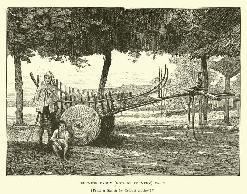 Chariot birman de riz ou de campagne - English School