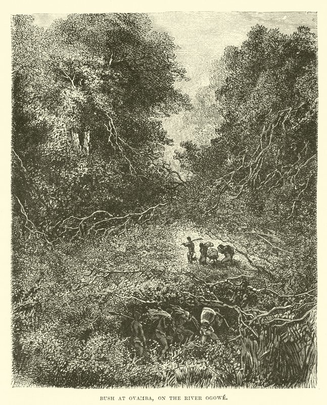 Brousse à Ovamba, sur la rivière Ogowe - English School