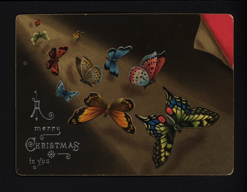 Papillons, carte de vœux de Noël, fin du XIXe ou début du XXe siècle - English School