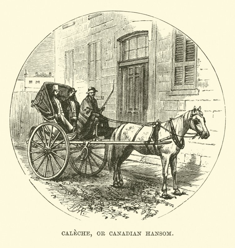 Calèche, ou Hansom canadien - English School