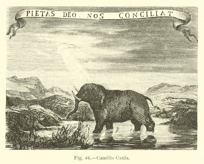 Camillo Caula - English School