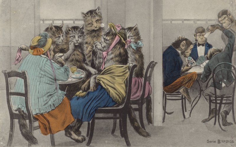 Chats buvant du thé et singes jouant aux cartes (lithographie couleur) - English School
