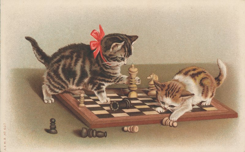 Chats jouant aux échecs - English School