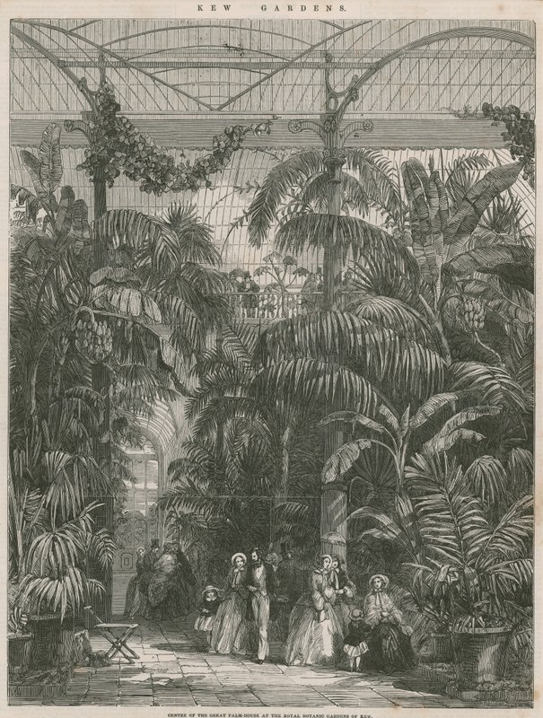 Centre de la grande maison des palmiers aux jardins botaniques royaux de Kew - English School