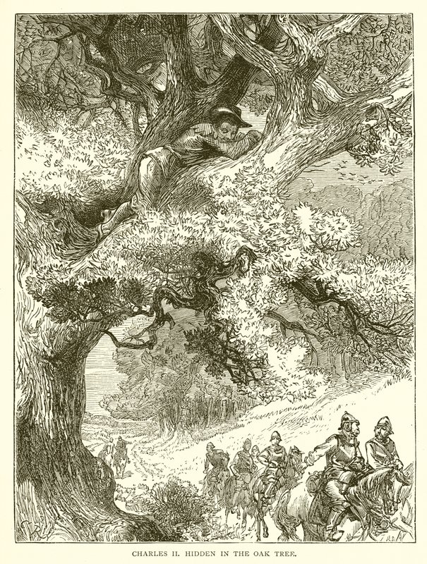 Charles II caché dans le Chêne - English School