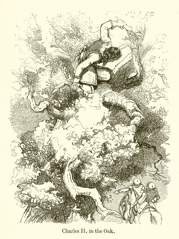 Charles II dans le chêne - English School