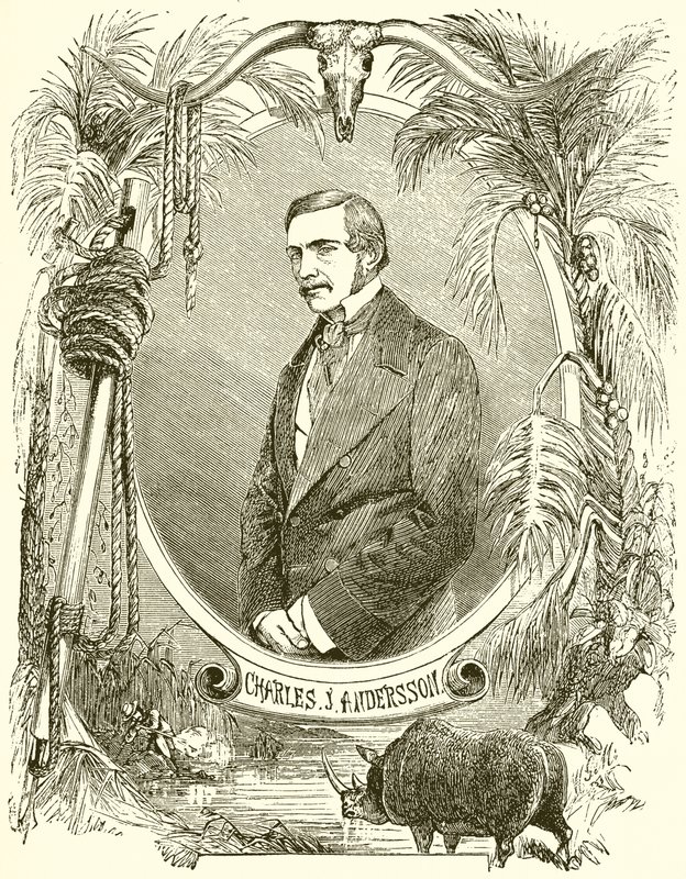 Charles J Anderson - English School